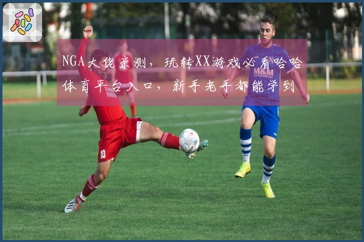 NGA大佬亲测，玩转XX游戏必看哈哈体育平台入口，新手老手都能学到干货！